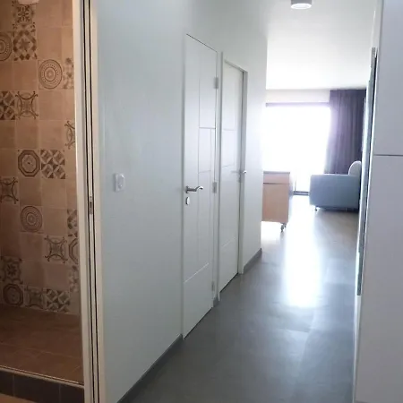 Apartment Bord De Avec Acces Plage, Piscine, Jacuzzi, 1 Chambre, Animaux Admis, Parking Inclus - Fr-1-194-253 *