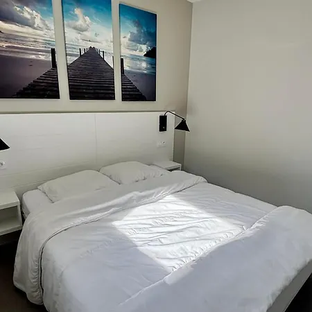 Bord De Avec Acces Plage, Piscine, Jacuzzi, 1 Chambre, Animaux Admis, Parking Inclus - Fr-1-194-253 *