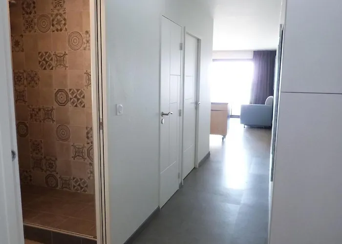 Appartamento Bord De Avec Accès Plage, Piscine, Jacuzzi, 1 Chambre, Animaux Admis, Parking Inclus - Fr-1-194-253 *